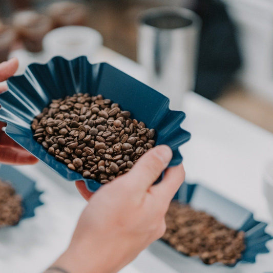 RHINO CUPPING TRAY PACK OF 12