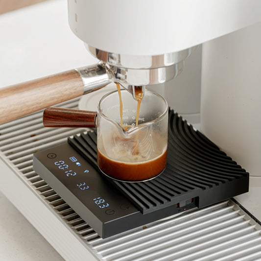 TIMEMORE BASIC 3 SCALES