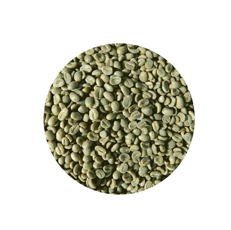 Adems Maji ethiopian green coffee beans premium unroasted beans for home and business roasting 1 kg