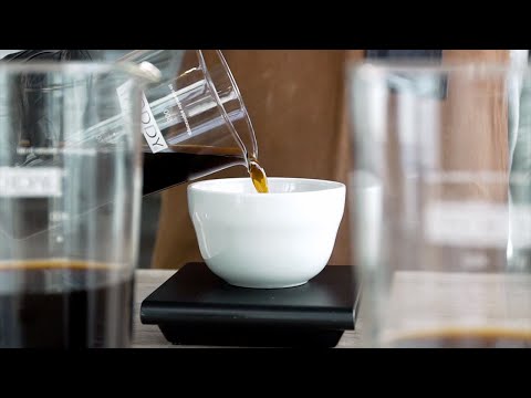 TODDY COLD BREW CUPPING KIT - SET OF 3